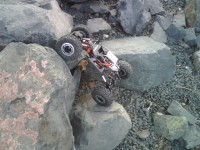 IMG00153.jpg
