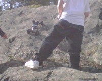 IMG00180.jpg