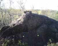 IMG00003.jpg