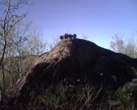 IMG00002.jpg
