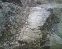 IMG00187.jpg
